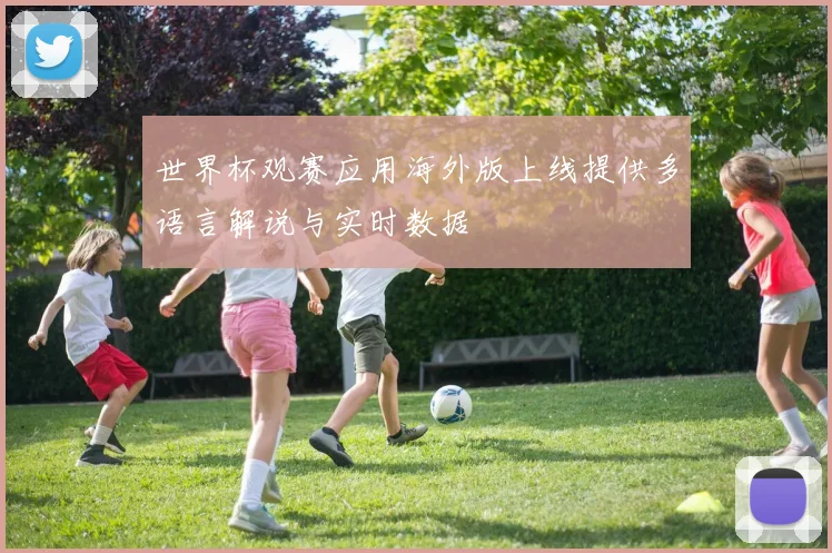 世界杯观赛应用海外版上线提供多语言解说与实时数据